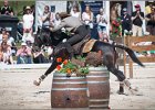 Pferd International 191